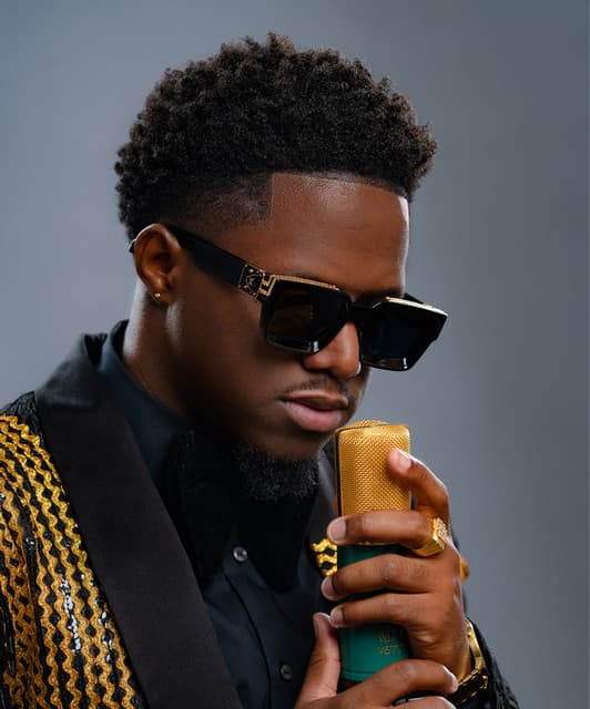 Voice's artist profile image