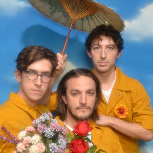 The Honeysticks artist profile image