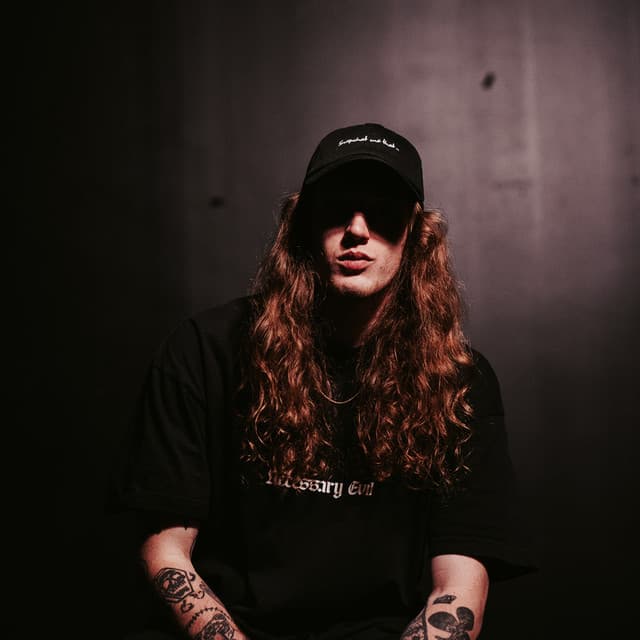 Stoned Level's artist profile image