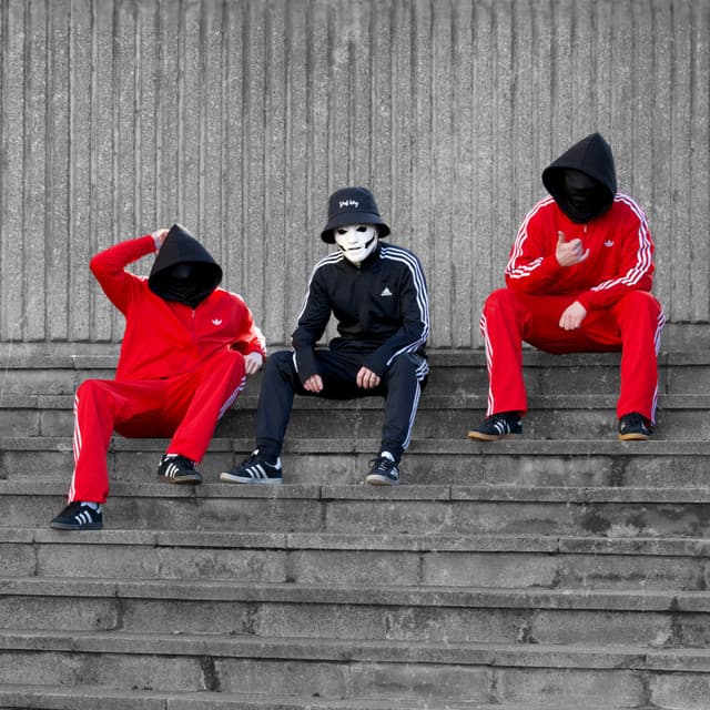 The Skinner Brothers artist profile image