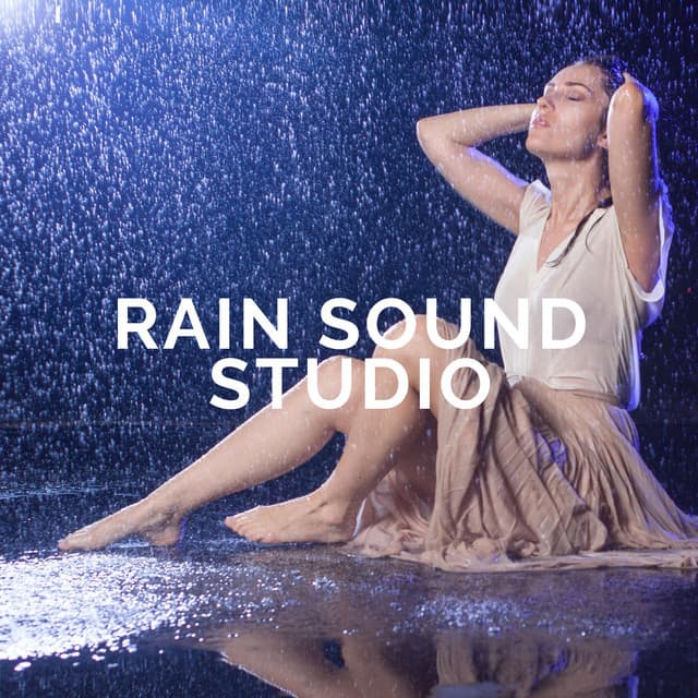 Rain Sound Studio artist profile image