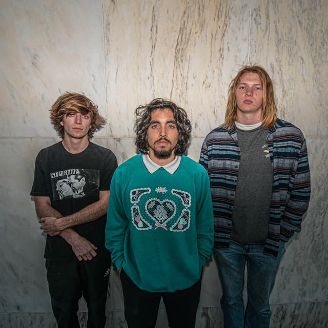 Sap artist profile image