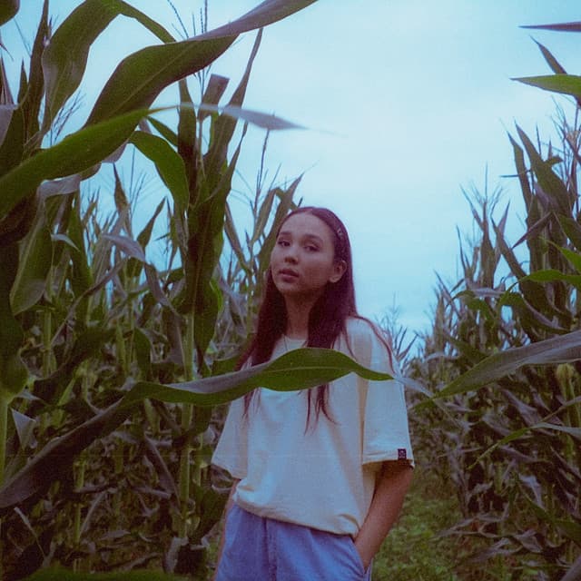 Ayau profile