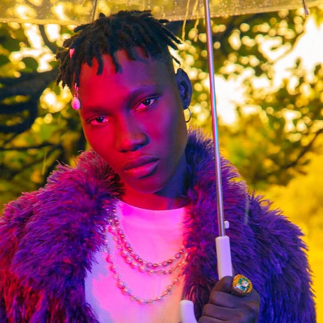Zinoleesky artist profile image