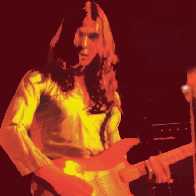 Tommy Bolin artist profile image