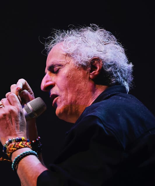 Mohsen Namjoo artist profile image