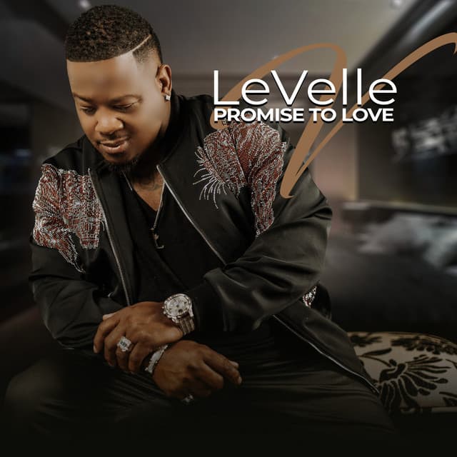LeVelle's artist profile image
