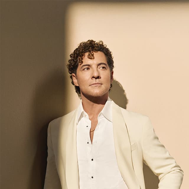 David Bisbal artist profile image