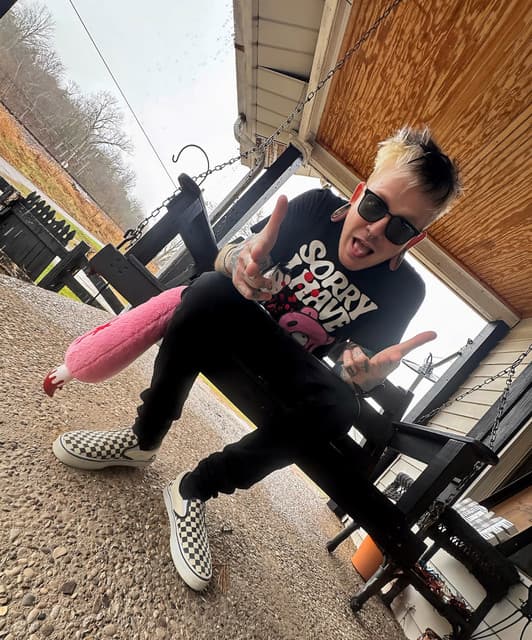 Dot Dot Curve's artist profile image