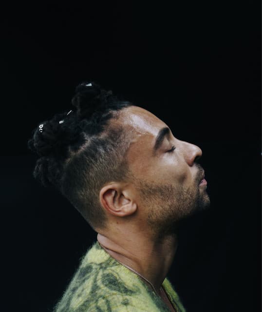 Ghanaian Stallion artist profile image