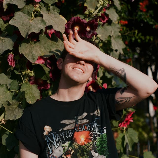 Bobbing artist profile image