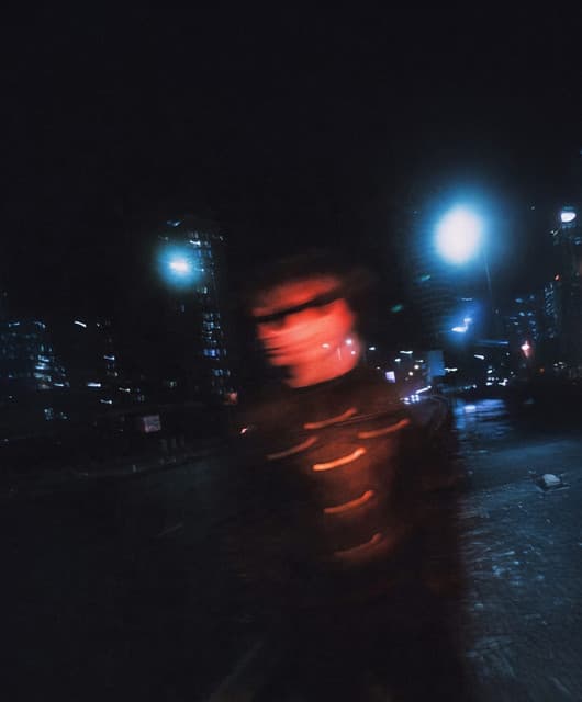 The Howlers's artist profile image