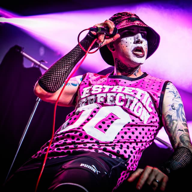 Aesthetic Perfection's artist profile image