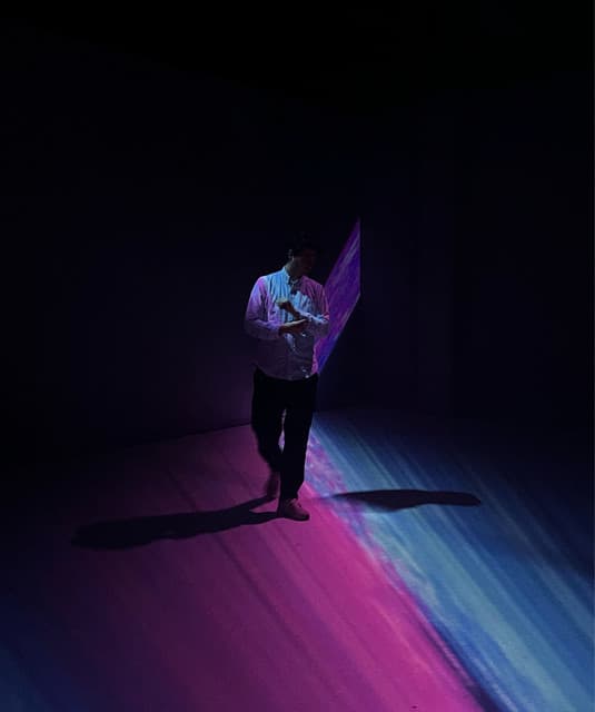 Showyou artist profile image