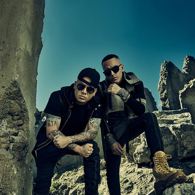 Wisin & Yandel artist profile image