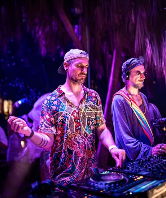 Monkey Safari artist profile image