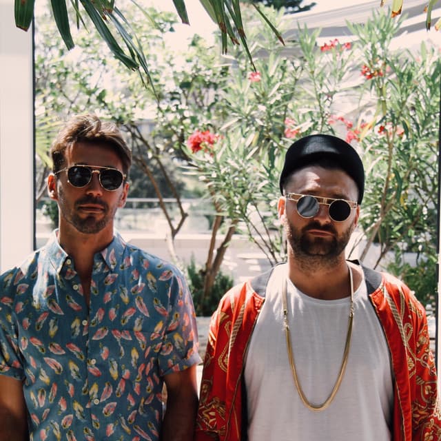 Yolanda Be Cool artist profile image