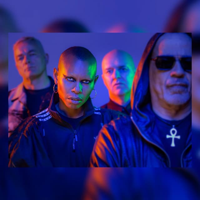 Skunk Anansie's artist profile image