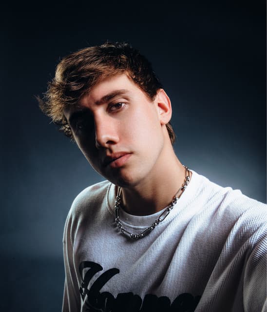 Discip artist profile