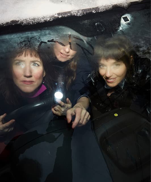 Stealing Sheep artist profile image