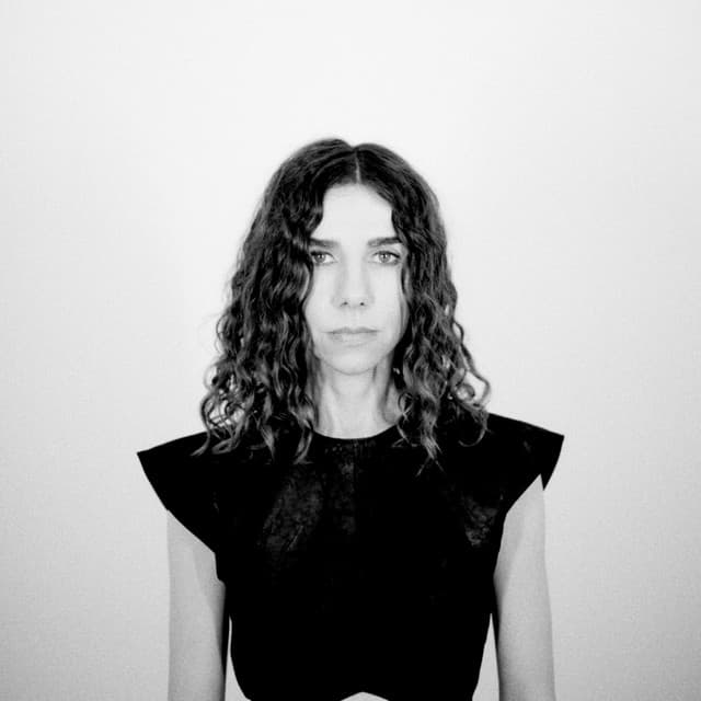 PJ Harvey artist profile image