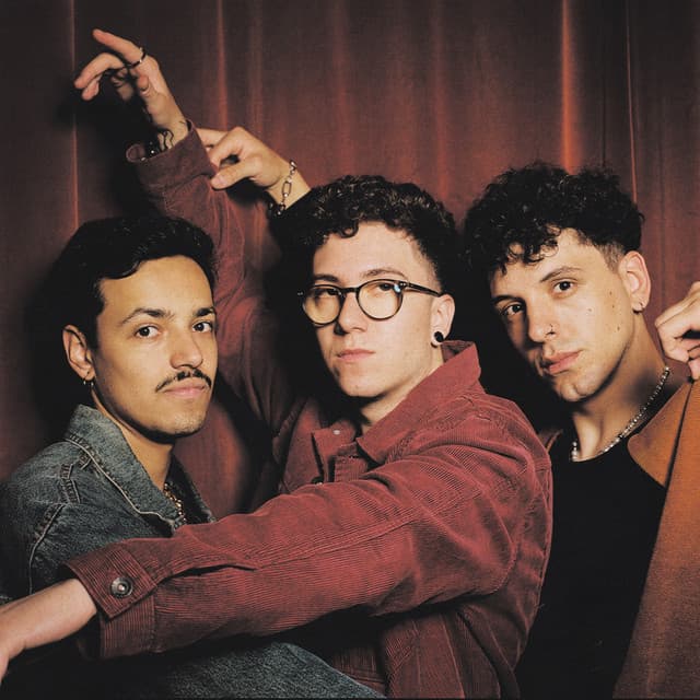 Syon Trio artist profile image