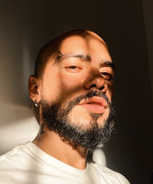 Lion Reggae artist profile image