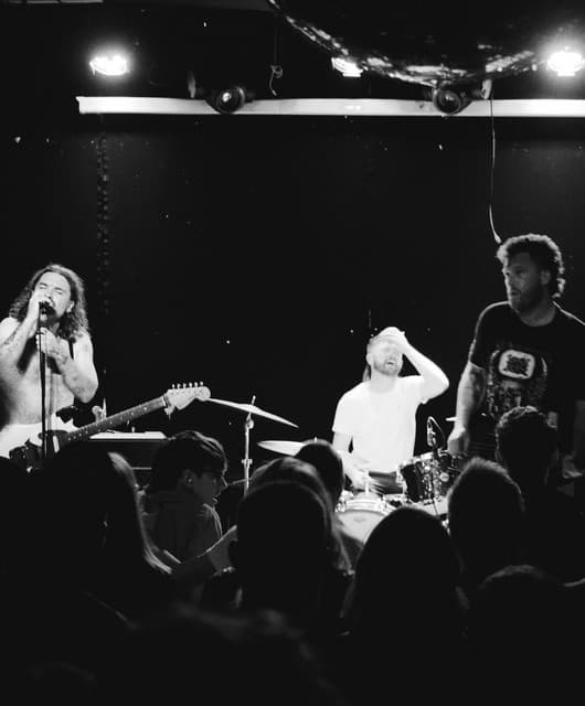 The Pleasure Dome artist profile image