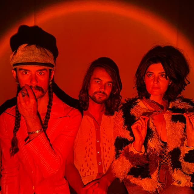 Pink Fuzz's artist profile image