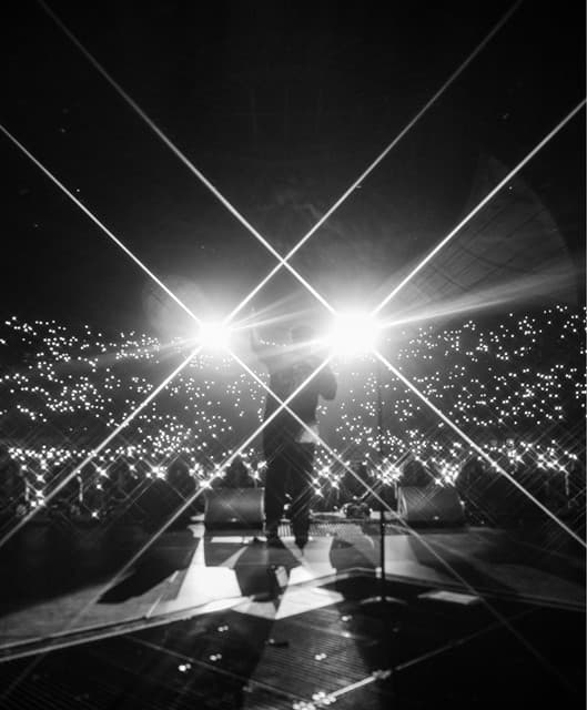 SavageRealm artist profile image