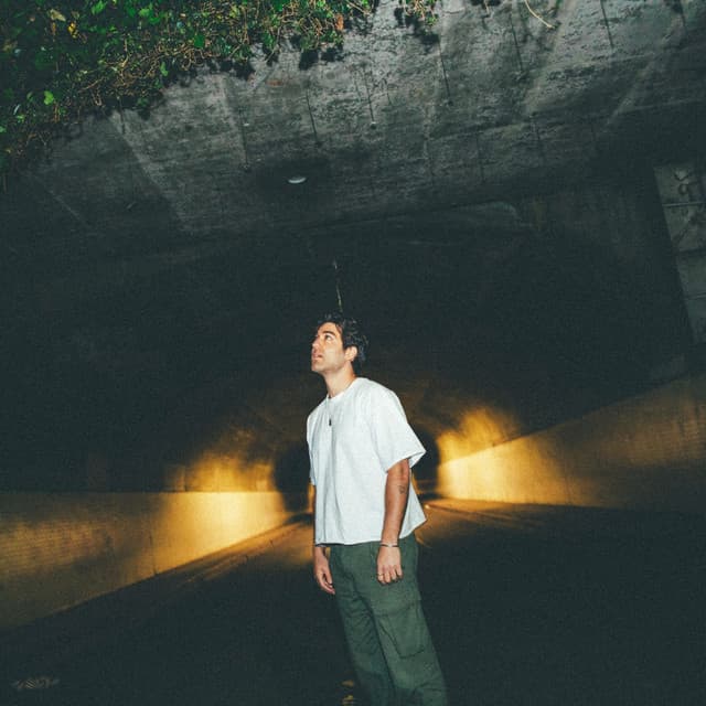 ayokay artist profile image