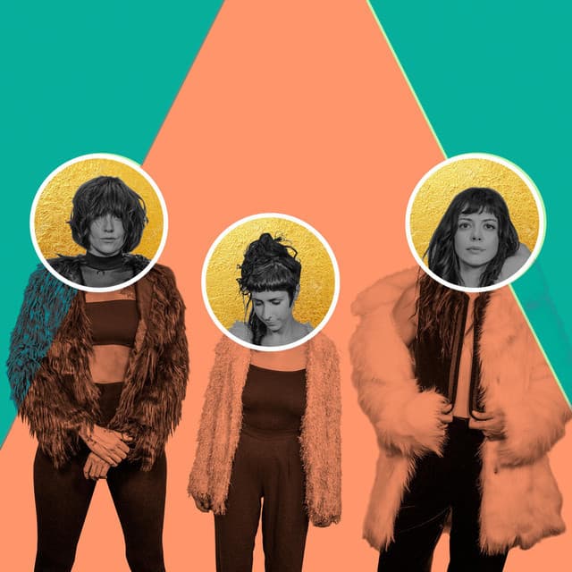 The Coathangers artist profile image