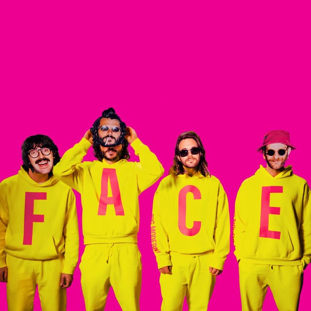 Goose artist profile