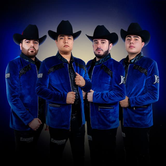 Los Elementos de Culiacan artist profile image