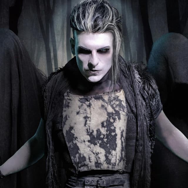 Ludovico Technique artist profile image