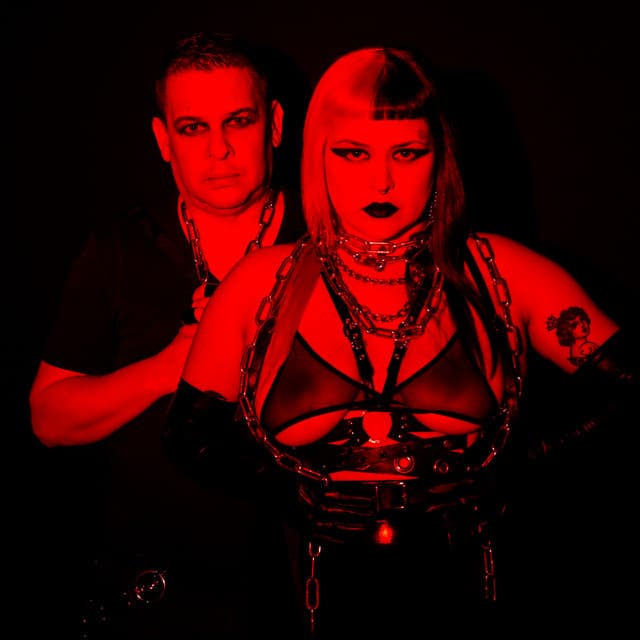 Die Sexual's artist profile image