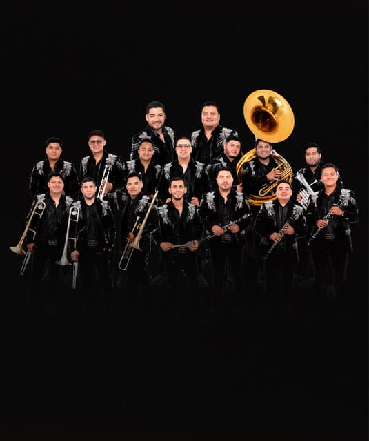Banda Rancho Viejo De Julio Aramburo La Bandononona artist profile image