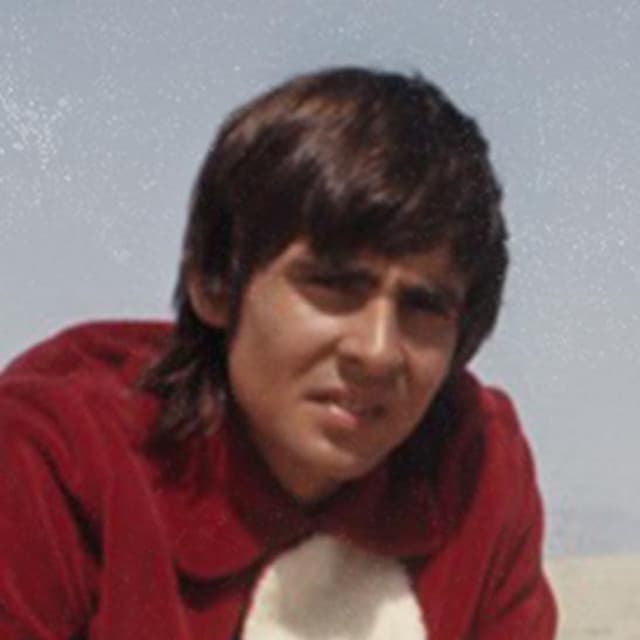 Davy Jones artist profile image