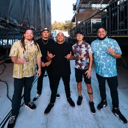 The Green's artist profile image