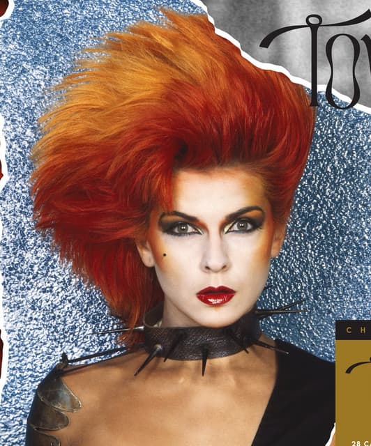 Toyah artist profile image