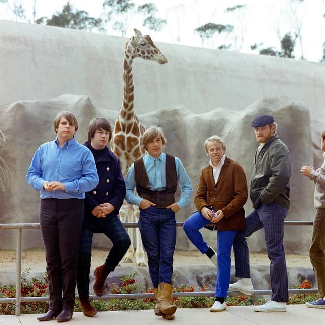 The Beach Boys artist profile image