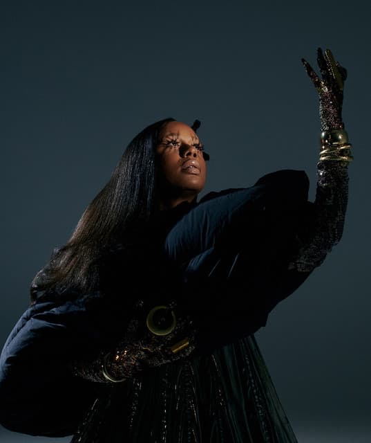 Aneesa Strings artist profile image