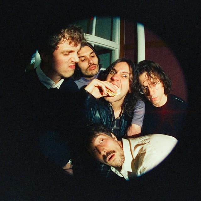 Post Animal's artist profile image