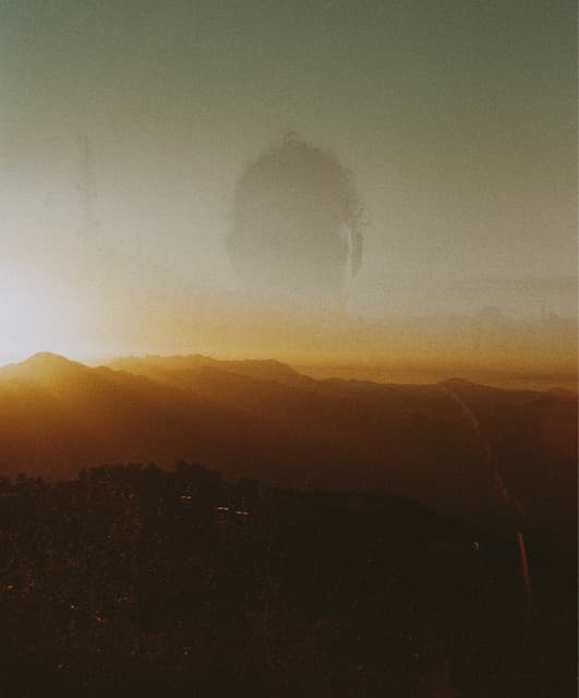 Solar Trees artist profile image