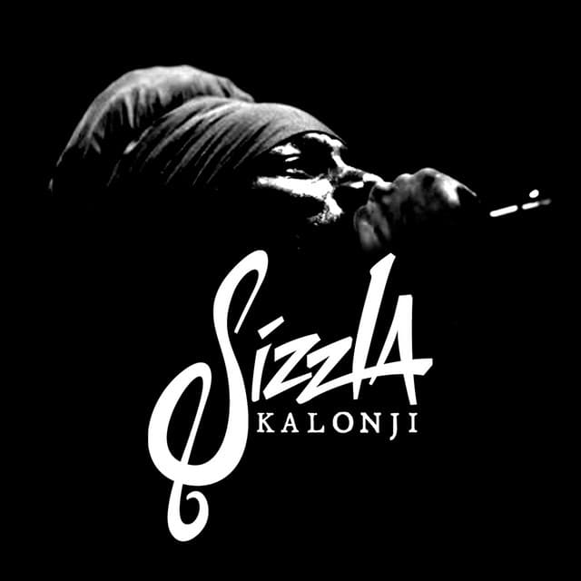 Sizzla artist profile image