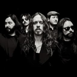 The Commoners's artist profile image