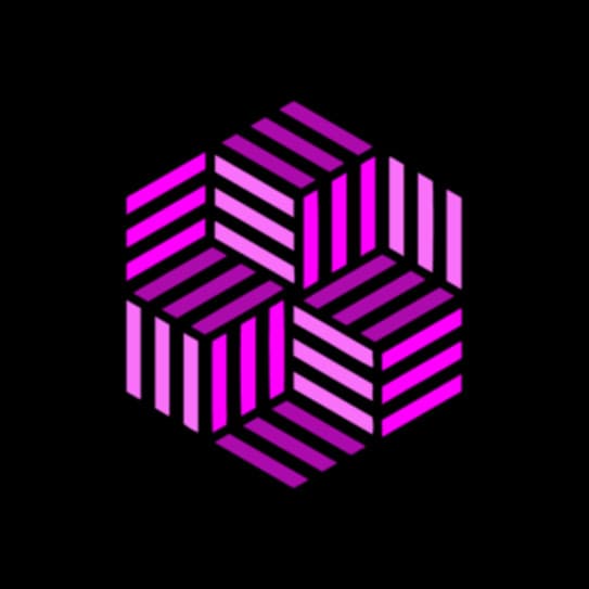 The Acid Mind artist profile image
