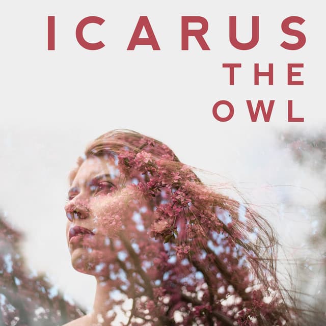 Icarus The Owl artist profile image
