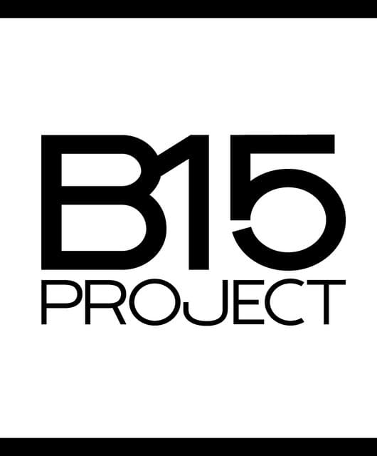 B15 Project artist profile image
