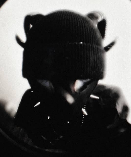 7xvn artist profile image